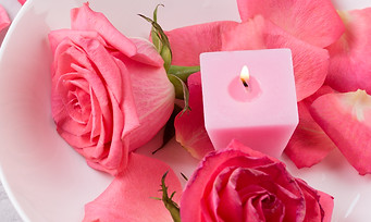 bigstock-Pink-Petals-Of-Roses-And-Burni-