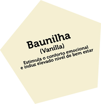 baunilha.png