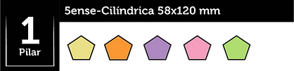 Barra_1_Pilar.png