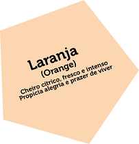 laranja.png