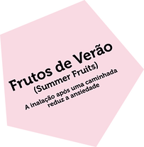 summerfruits.png