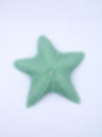Estrela do Mar