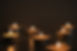 bigstock-Seven-Small-Lighted-Candles-In-