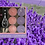 Thumbnail: Colored tea-lights with lavender scent (45 units)