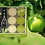 Thumbnail: Colorful apple-scented tea-lights (45 units)