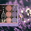 Thumbnail: Colored tea-lights with lavender scent (45 units)